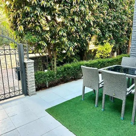 Oasis Near The And Tourist Area