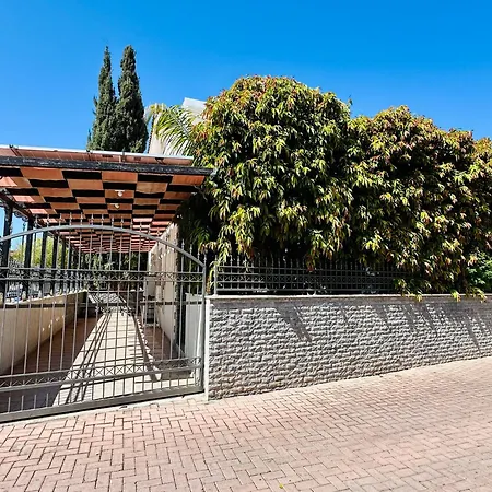 Oasis Near The And Tourist Area