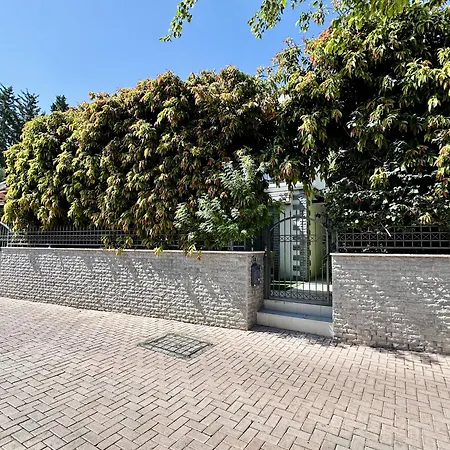 Oasis Near The And Tourist Area *