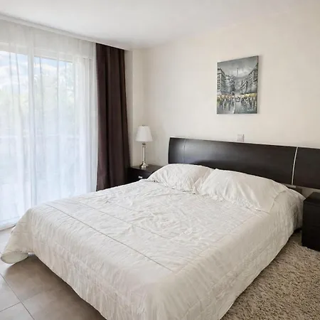 Oasis Near The And Tourist Area *