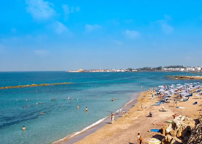 Oasis Near The And Tourist Area Paphos