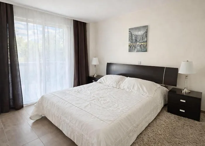 Oasis Near The And Tourist Area *