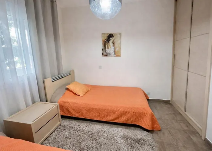 Oasis Near The And Tourist Area Paphos