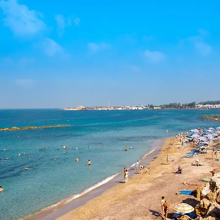 Oasis Near The And Tourist Area Paphos